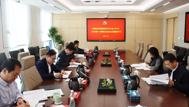 中國紙業 民主生活會 中國紙業 民主生活會