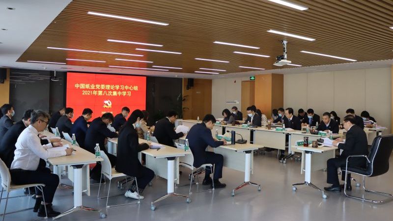 中國紙業黨委深入學習貫徹黨的十九屆六中全會精神