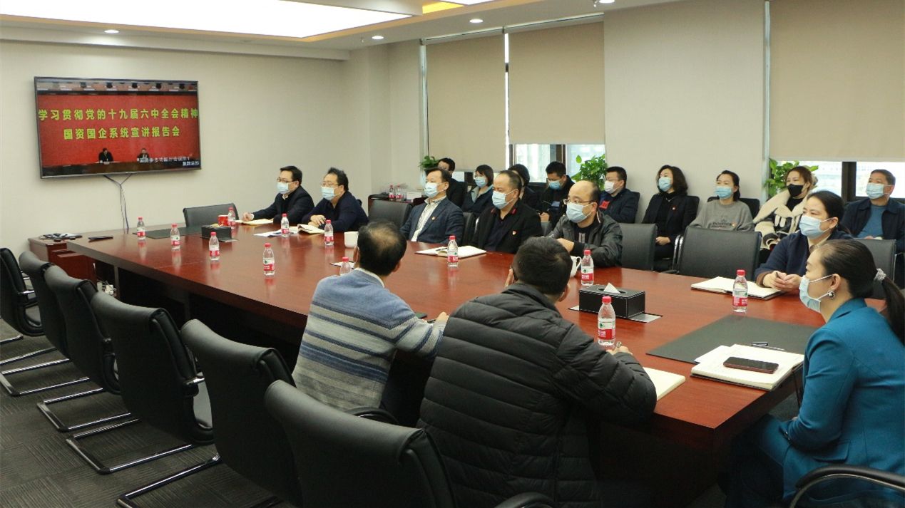 誠通國貿黨委認真學習貫徹黨的十九屆六中全會精神