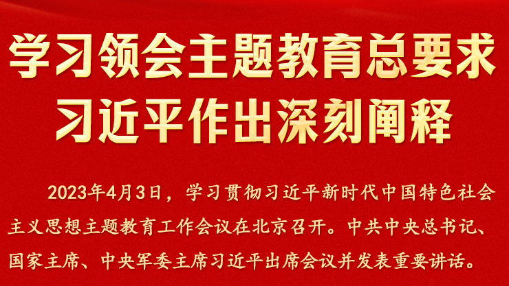 學習領會主題教育總要求 習近平作出深刻闡釋